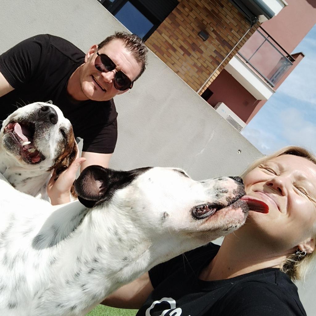 Koiravahteina Portugalissa | Road trip Portugalissa: Rannikkomaisemia, Tomar ja Coimbra | Elämää Nomadina