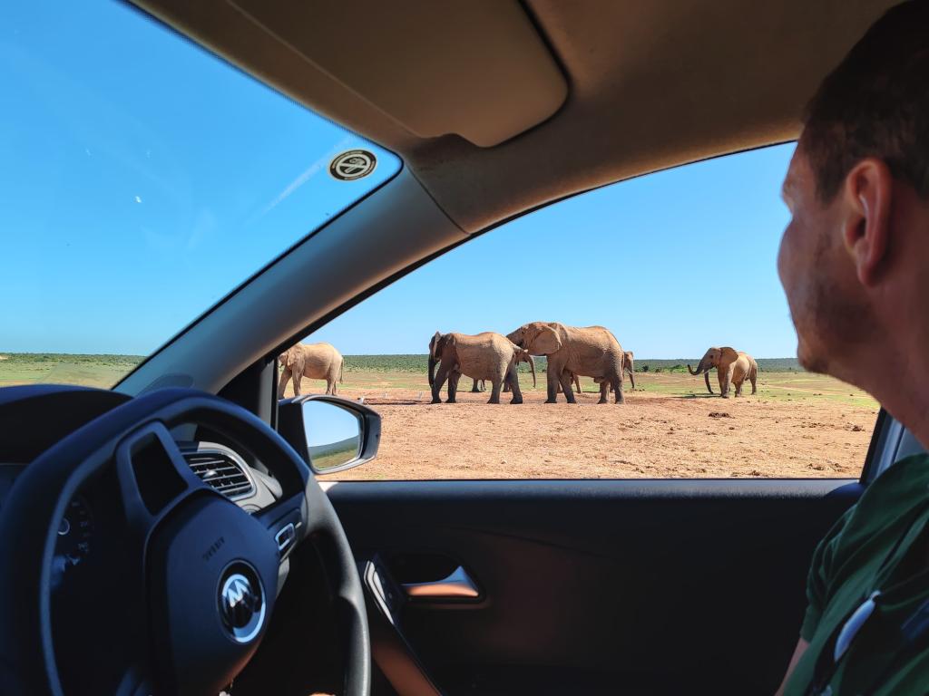 Addo Elephant National Park | Vuokra-autolla Etelä-Afrikassa | Elämää Nomadina blogi
