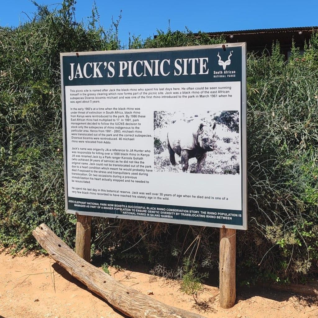 Jack's Picnic Site | Norsusafarilla Addossa | Addon kansallispuisto | Etelä-Afrikka | Elämää Nomadina blogi