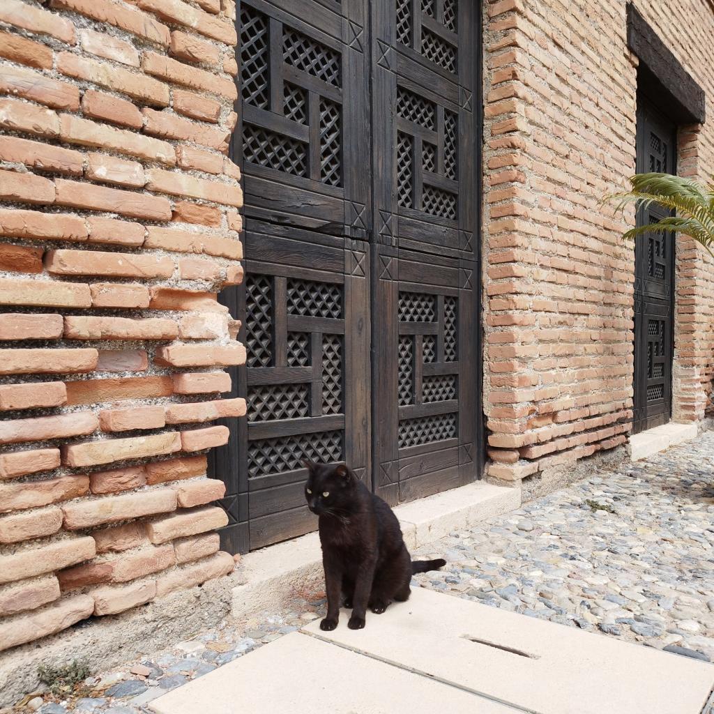 Kissa Almerian linnoituksella | Road trip Espanjasta Portugaliin | Elämää Nomadina