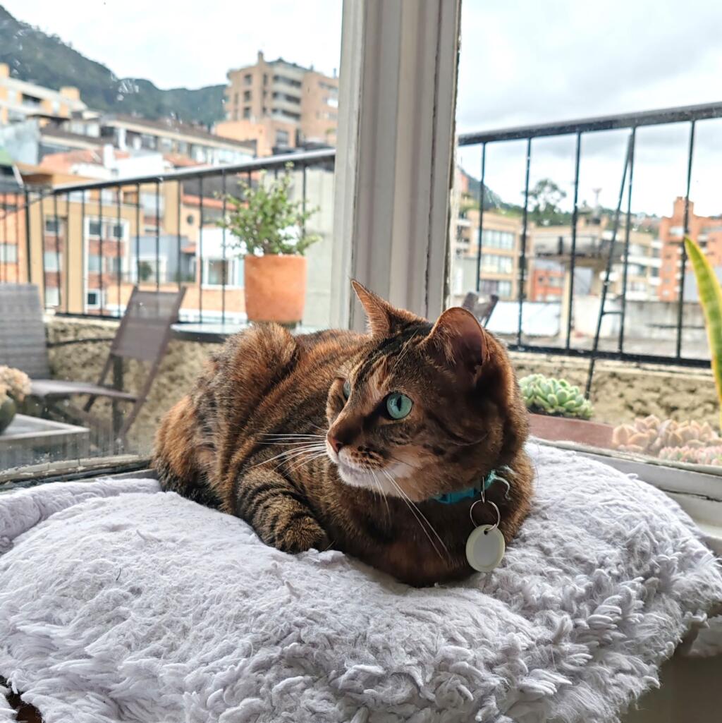 Elämää Nomadina - Seikkailu Kolumbiassa vei suurkaupungeista rantakohteisiin Elämää Nomadina - Bogota housesit