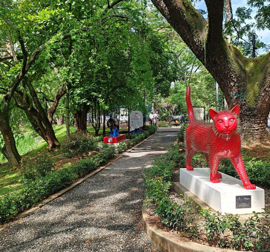 Elämää Nomadina - Seikkailu Kolumbiassa vei suurkaupungeista rantakohteisiin Parque de los Gatos "kissapuisto", Cali | Kolumbia | Elämää Nomadina blogi
