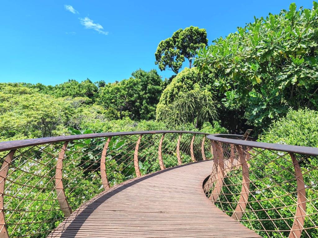 Canopy silta Kirstenboschin kasvitieteellisessa puutarhassa | Kapkaupunki on Etelä-Afrikan kaunein kaupunkikohde | Elämää Nomadina blogi