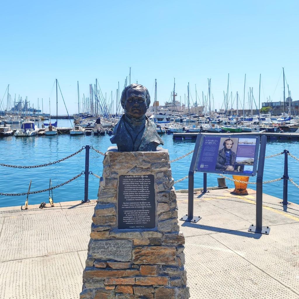 Charles Darwin monumentti Simon's Townissa | Kapkaupunki on Etelä-Afrikan kaunein kaupunkikohde | Elämää Nomadina blogi