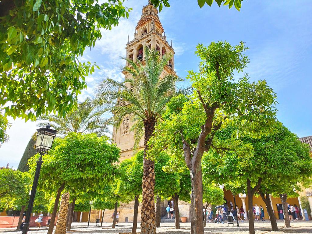 Cordoban moiskeija-katedraalin torni | Road trip Espanjasta Portugaliin | Elämää Nomadina