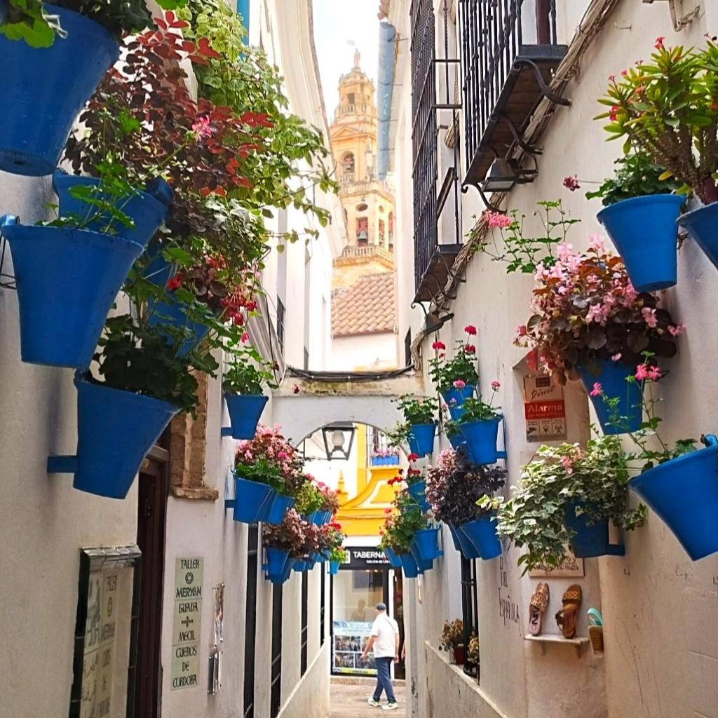 Calleja de las Flores -kuja Cordobassa | Road trip Espanjasta Portugaliin | Elämää Nomadina