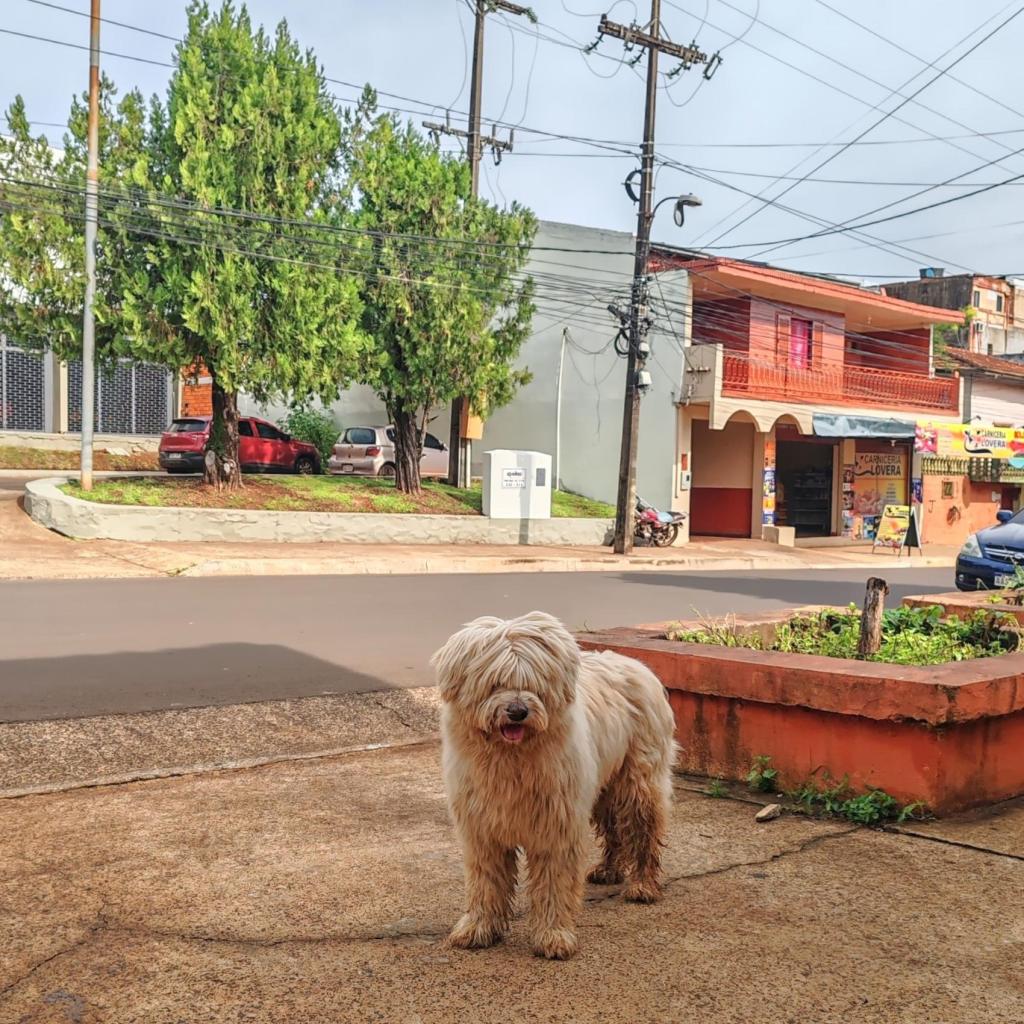 Katukoira, Encarncion | Paraguay | Elämää Nomadina matkablogi