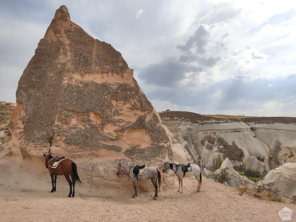 Hevosia Rose Valleyssa | Road trip Turkissa: Upea Kappadokia | Elämää Nomadina blogi