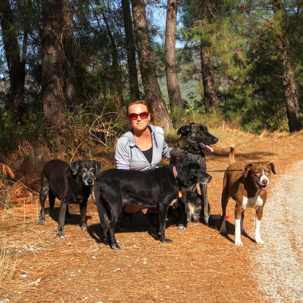 Koiralenkillä Turkissa | Elämää Nomadina