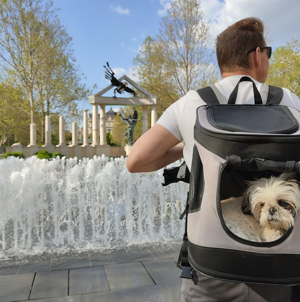 Koirakävelyllä puistossa | Koiravahteina hurmaavassa Budapestissa | Elämää Nomadina blogi