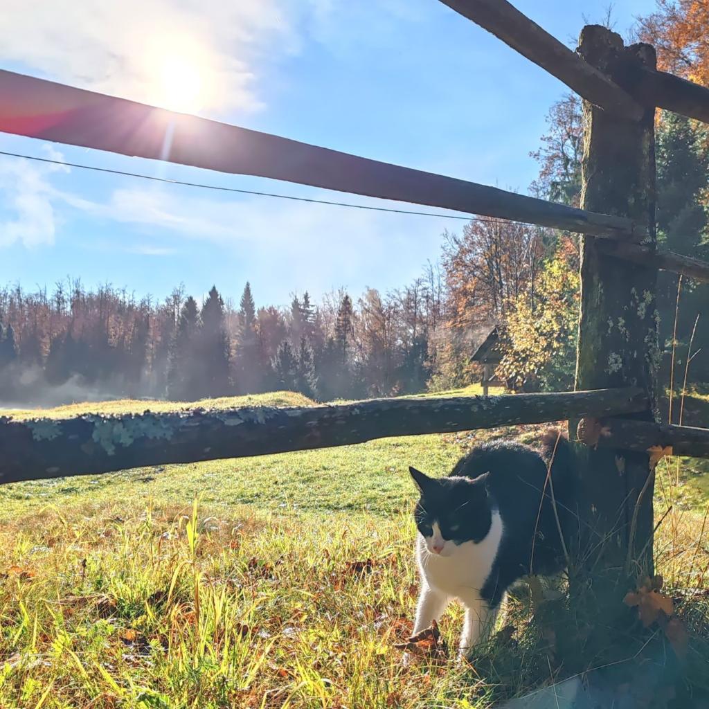 Elämää Nomadina - Syksyinen road trip Romaniasta Slovenian kautta Ranskaan Koprivnik, Slovenia | Syksyinen pakumatka halki Euroopan | Elämää Nomadina