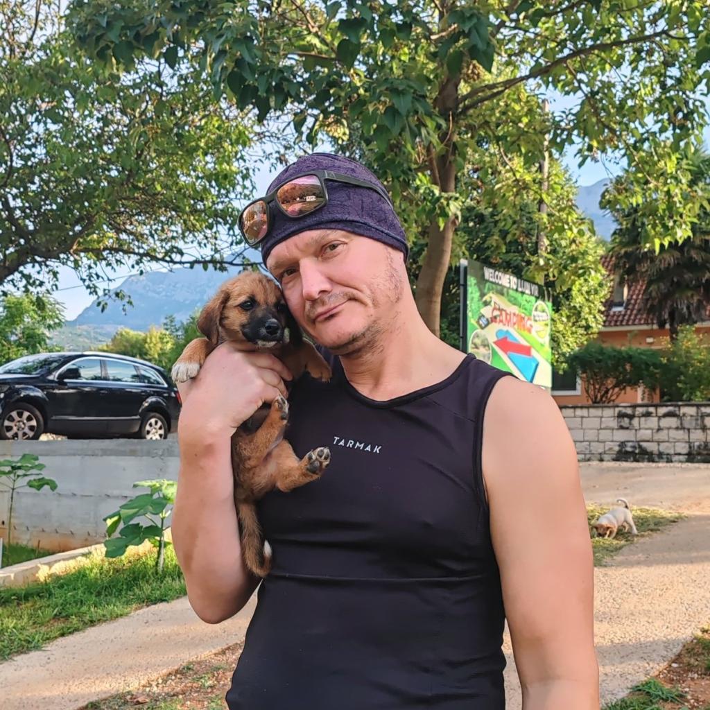 Koiranpentu Montenegrossa | Kesäturistina Suomessa ja road trip halki Itä-Euroopan | Elämää Nomadina