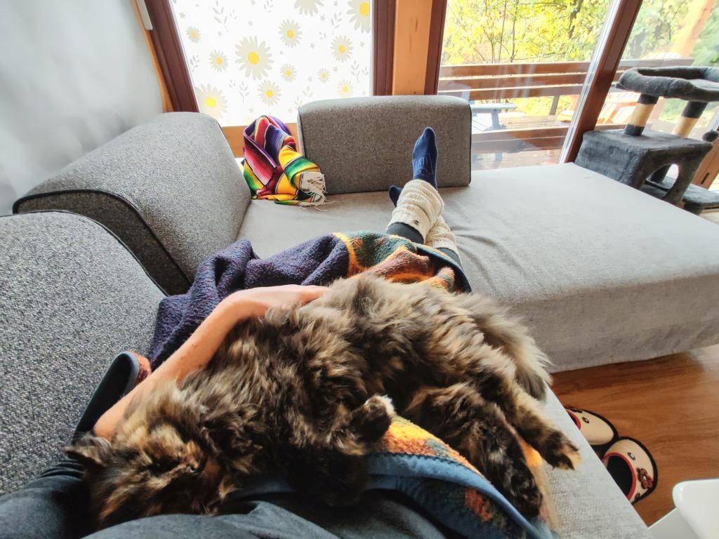 Elämää Nomadina - Syksyinen road trip Romaniasta Slovenian kautta Ranskaan Kissavahtihommia | Syksyinen pakumatka halki Euroopan | Elämää Nomadina