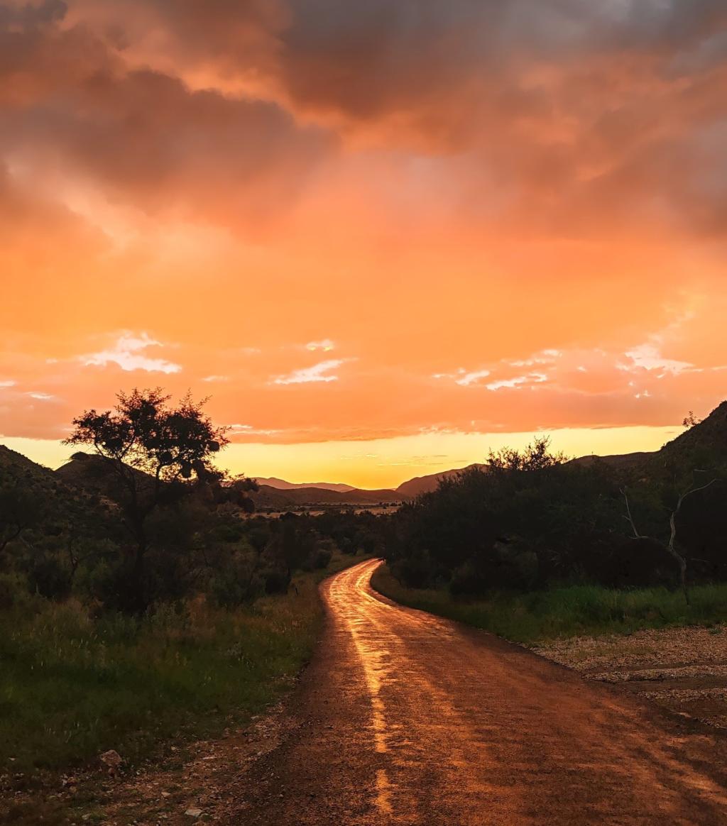 Tie auringonlaskussa Regensteinin luonnopuistossa | Nomadina Namibian Windhoekissa | Elämää Nomadina