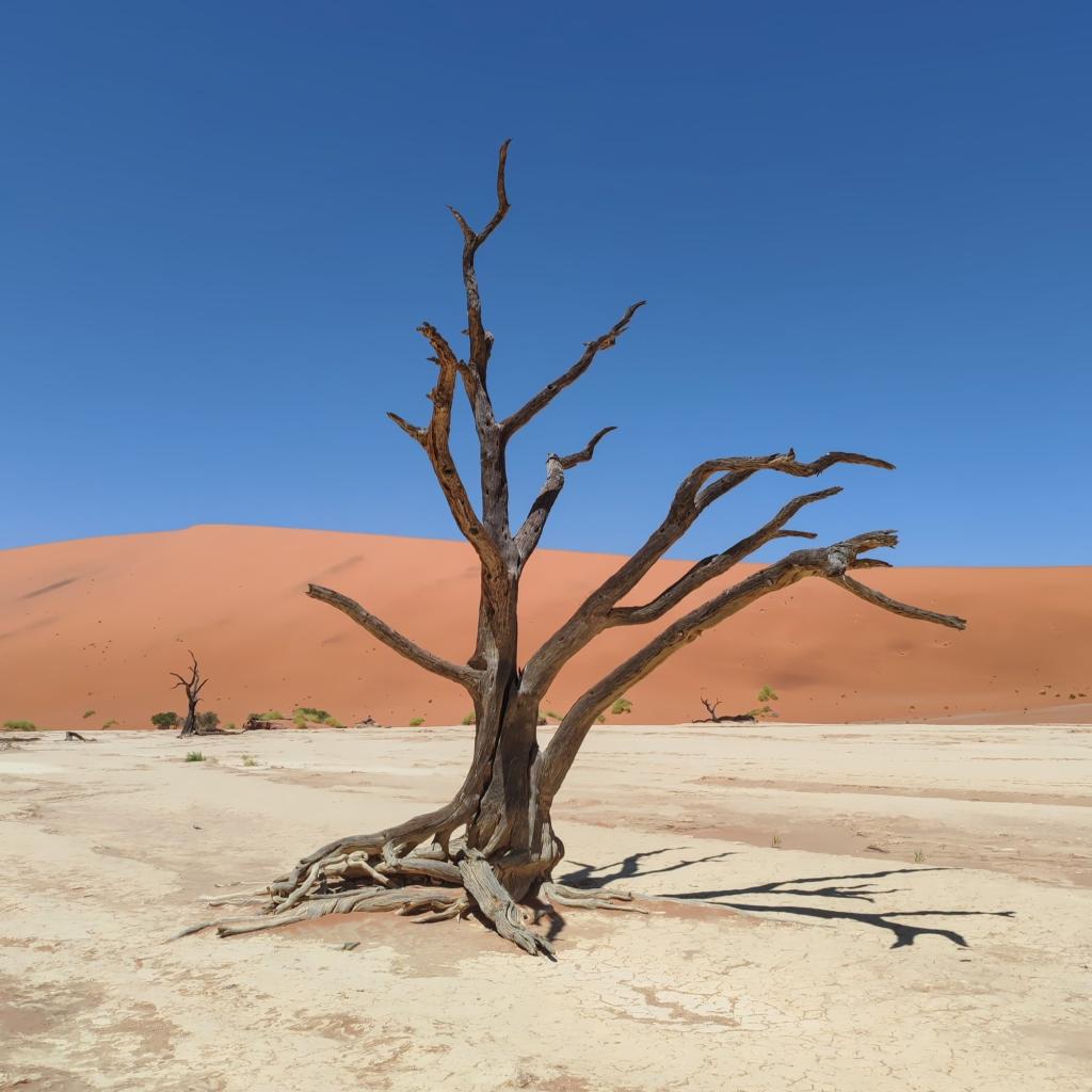 Elämää Nomadina - Road trip Namibiassa vei aavikolle ja rannikkomaisemiin Deadvlei | Road trip Namibiassa | Elämää Nomadina blogi
