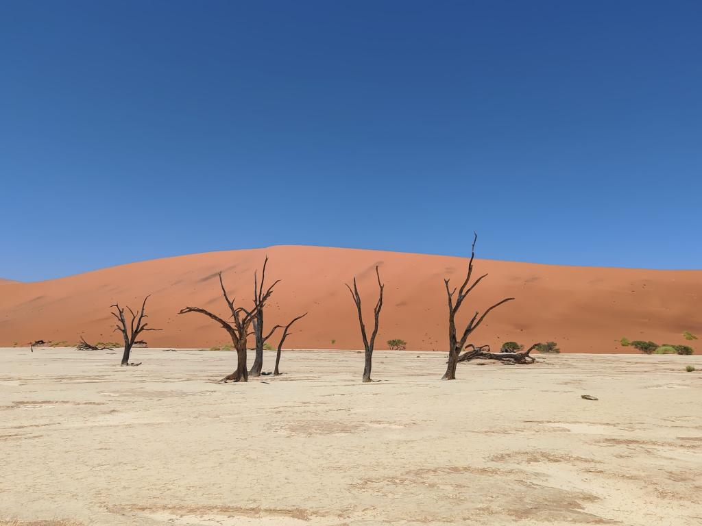 Elämää Nomadina - Road trip Namibiassa vei aavikolle ja rannikkomaisemiin Deadvlei | Road trip Namibiassa | Elämää Nomadina blogi