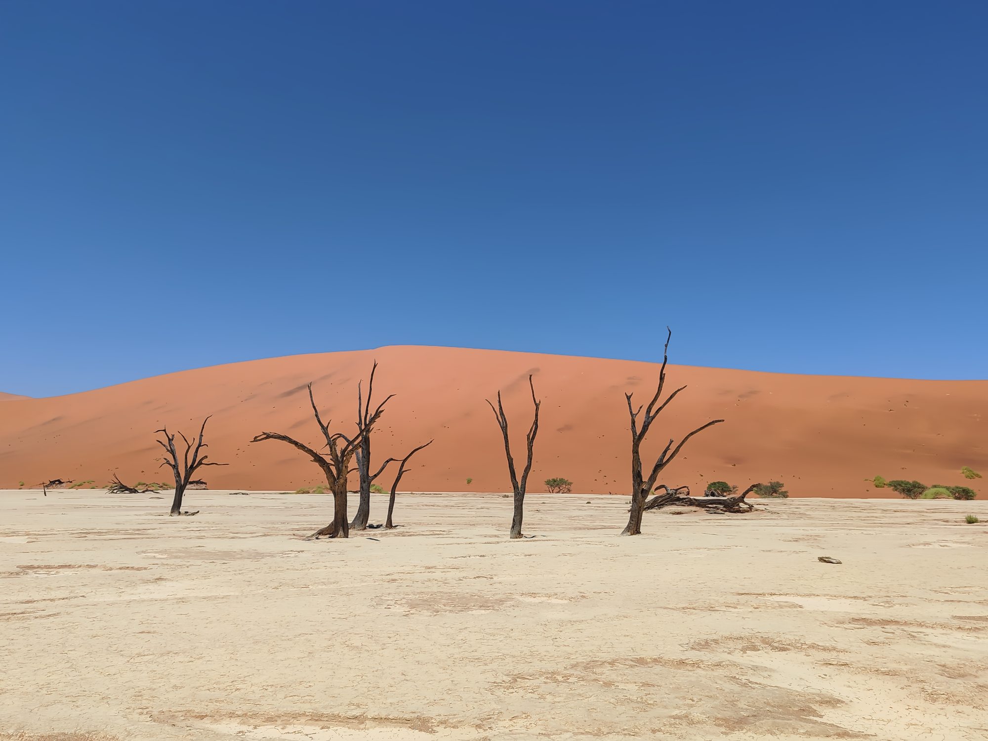 Deadvlei | Road trip Namibiassa | Elämää Nomadina blogi