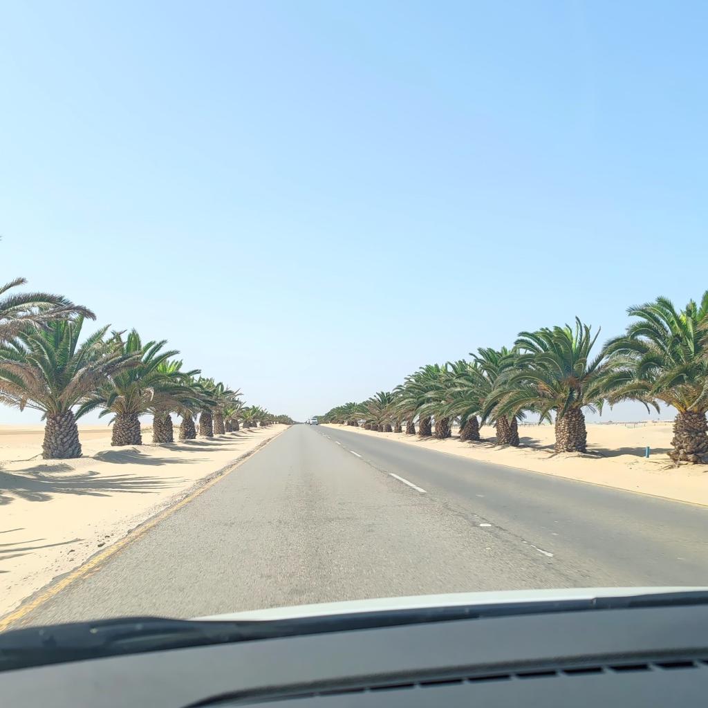 Elämää Nomadina - Road trip Namibiassa vei aavikolle ja rannikkomaisemiin Swakopmundista Walvis Bayhin | Road trip Namibiassa | Elämää Nomadina blogi