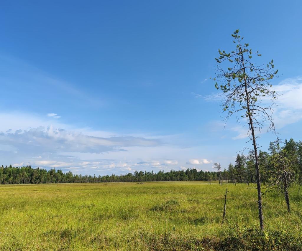 Suo Simon Maksniemessä | Kesäturistina Suomessa ja road trip halki Itä-Euroopan | Elämää Nomadina