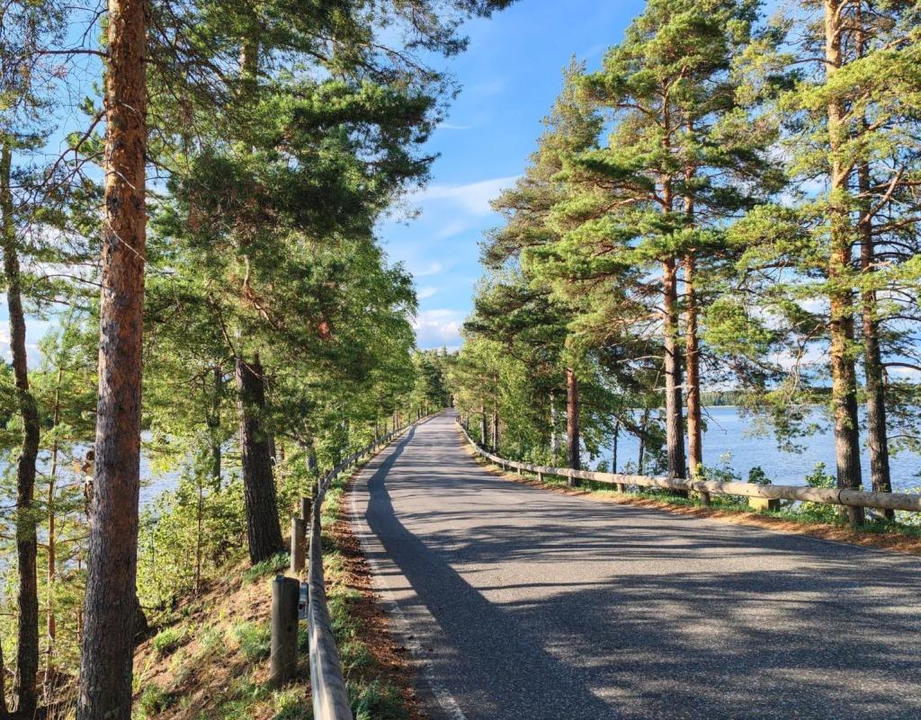 Punkaharjun Harjutie | Kesäturistina Suomessa ja automatka halki Itä-Euroopan | Elämää Nomadina