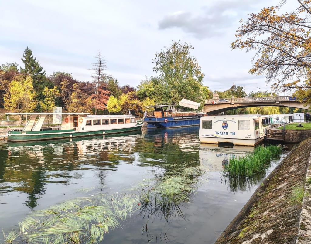 Elämää Nomadina - Syksyinen road trip Romaniasta Slovenian kautta Ranskaan Timișoara | Romania | Syksyinen pakumatka halki Euroopan | Elämää Nomadina