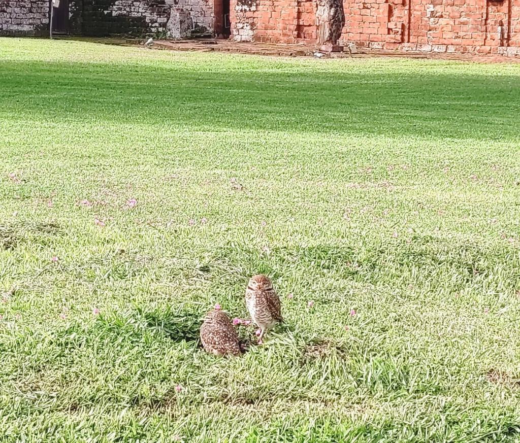 La Misión de la Santísima Trinidad de Paraná, Trinidad | Paraguay | Elämää Nomadina matkablogi
