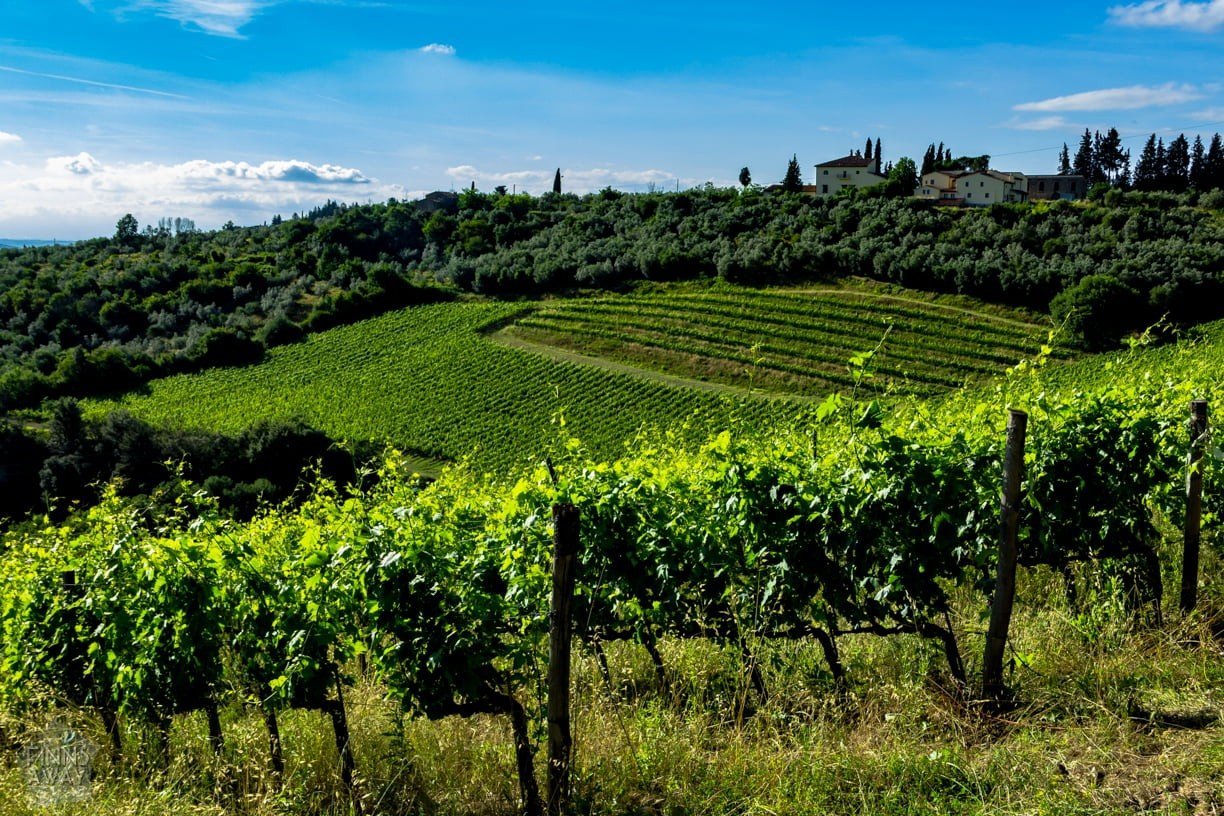 Colle Sorripa viinitila Italian Toscanassa | Elämää Nomadina