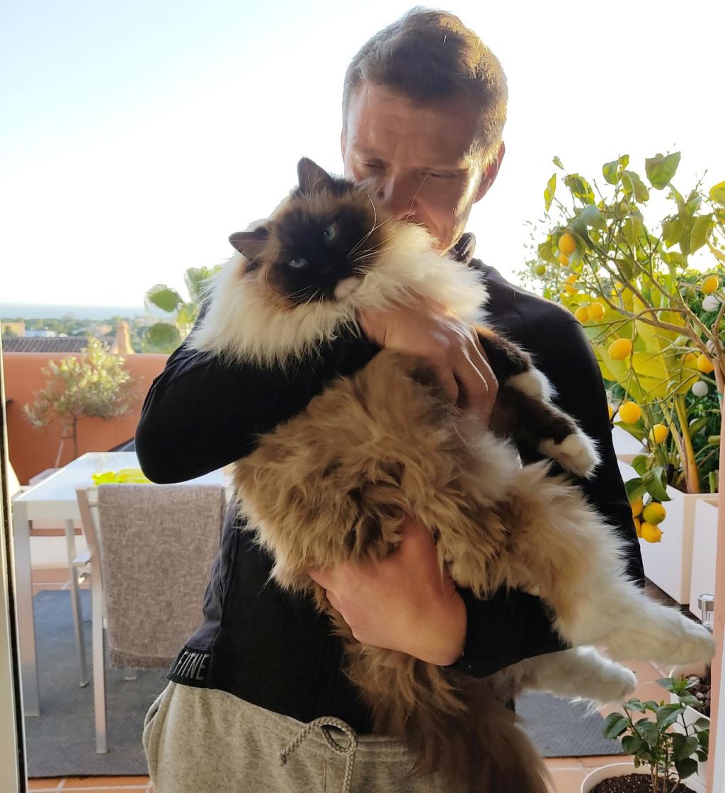 Kissavahteina Marbellassa | Elämää Nomadina